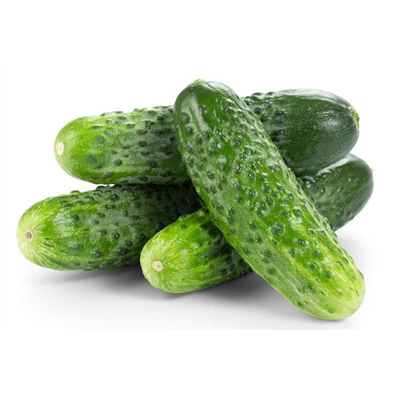 Cucumber